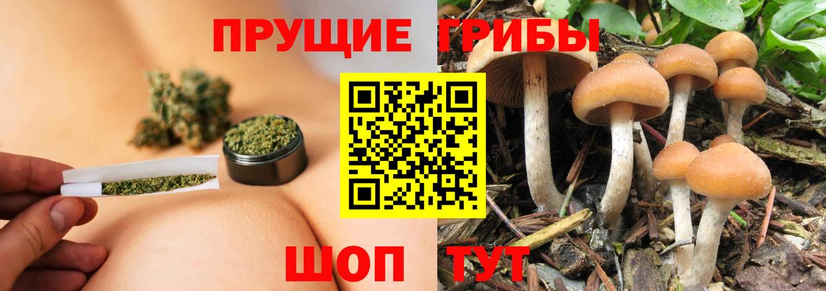 Павловский Посад  Псилоцибиновые грибы GOLDEN TEACHER  Вход с VPN 